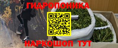 spice Аргун