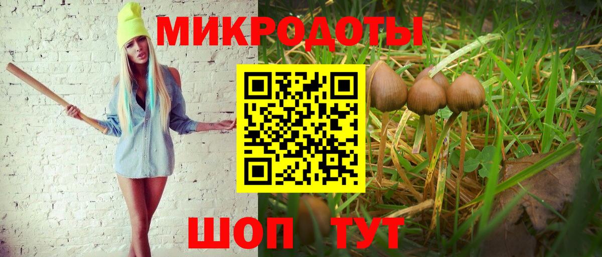 где можно купить наркотик  Галлюциногенные грибы Cubensis  Вход с VPN  Березники  Галлюциногенные грибы ЛСД 